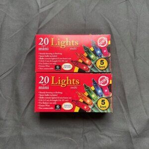 Set of 2 20 Count Mini Multi Lights for Christmas or Home Decorations Indoor